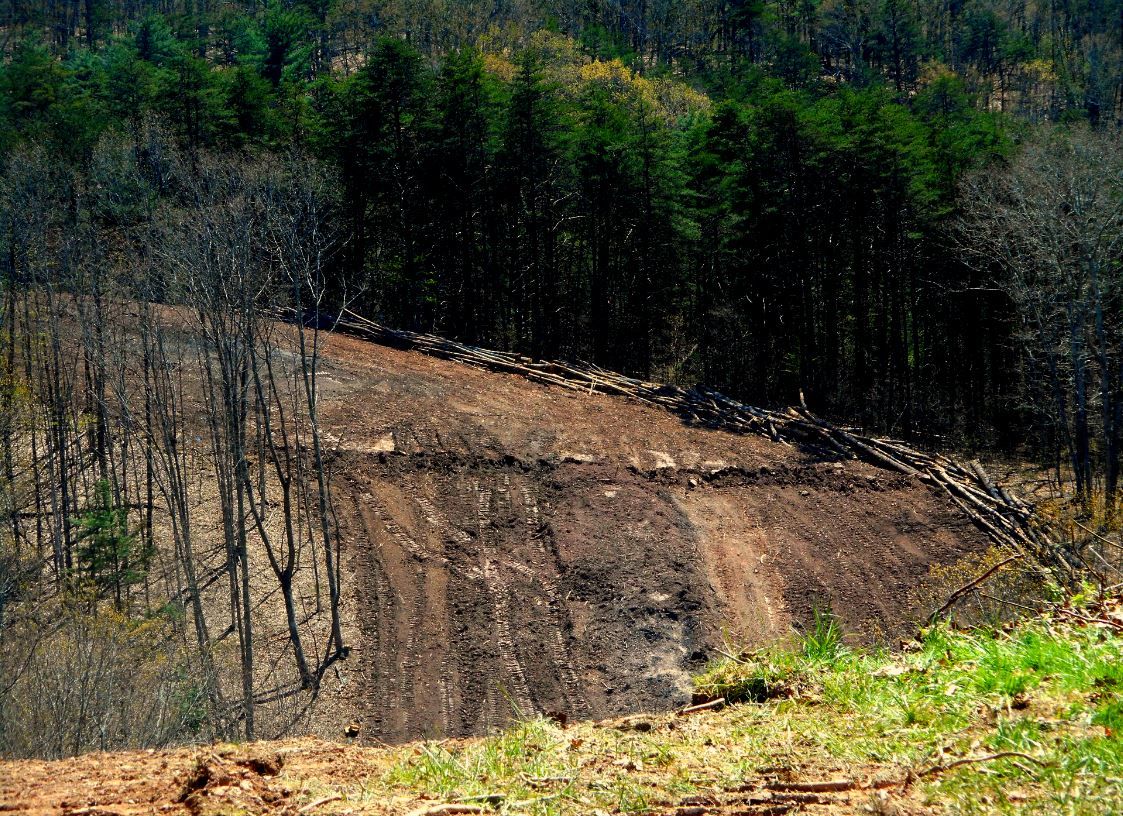 Home WVVA TV Bluefield Beckley WV News, Weather and Sports